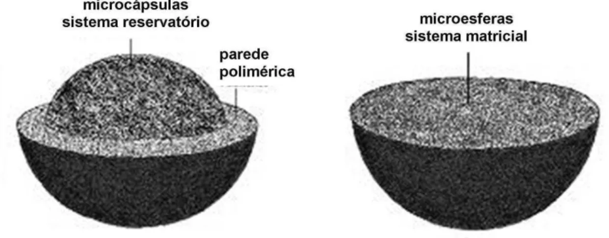 Figura  3.  Representação  esquemática  do  tipo  de  estruturação  das  micropartículas 