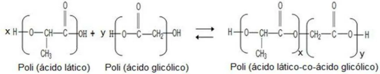 Figura  6.  Representação  esquemática  das  estruturas  dos  monômeros  ácido  lático, 