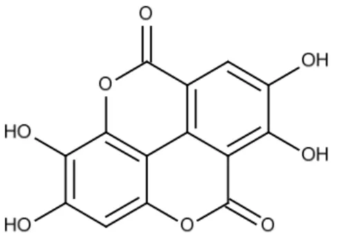 Figura 3: Estrutura química do ácido elágico isolado do extrato metanólico das folhas de              S
