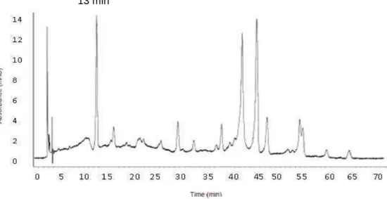 Figura 9: Cromatograma obtido por CLAE- DAD (analisado a 340 nm) do extrato hidroetanólico  das folhas de S