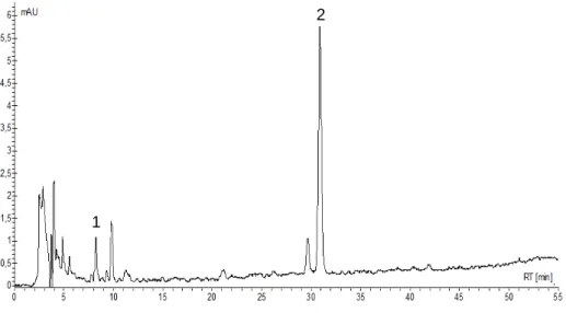 Figura 12: Cromatograma obtido por CLAE- DAD (340 nm) do extrato hidroetanólico dos frutos de  S