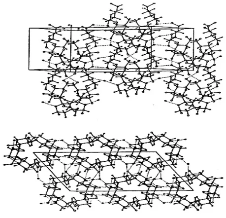 Figura 6 - Polimorfo do amido de cristalinidade do tipo A.   Fonte: STEPHEN; PHILLIPS; WILLIAMS (2006)
