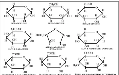 Figura 12  – Estrutura química dos açúcares componentes da hemicelulose.  Fonte: KLOCK et al., (2005)