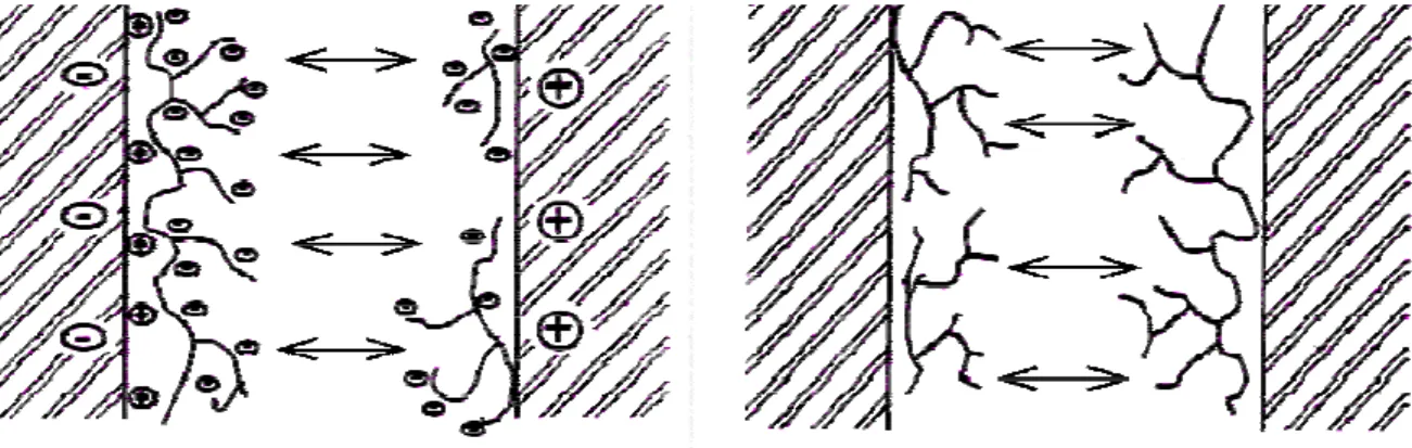 Figura 8 – Casos de repulsão: (a) partículas repelidas devido à mesma carga; (b) partículas repelidas  devido à sobreposição do polímero plastificante
