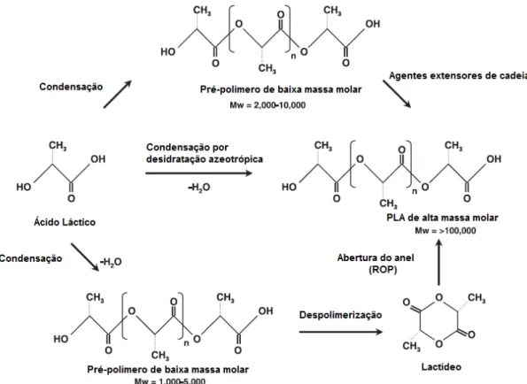 Figura 8. Mecanismos de síntese de PLA de alta massa molar, adaptado de (GUPTA, 2007)