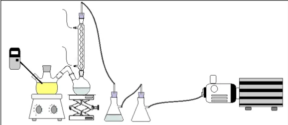 Figura 22. Sistema utilizado na realização dos experimentos do planejamento da etapa de  desidratação do ácido láctico