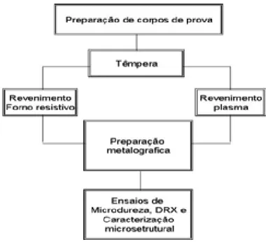 Figura 3.1 - Organograma representando em seqüência as etapas básicas da  metodologia utilizada