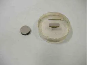 Figura 3.8 - Ilustração das amostras preparadas metalograficamente. (a) amostra  inteira; (b) perfil da amostra embutida; o traço marca o lado da superfície exposta ao  plasma.