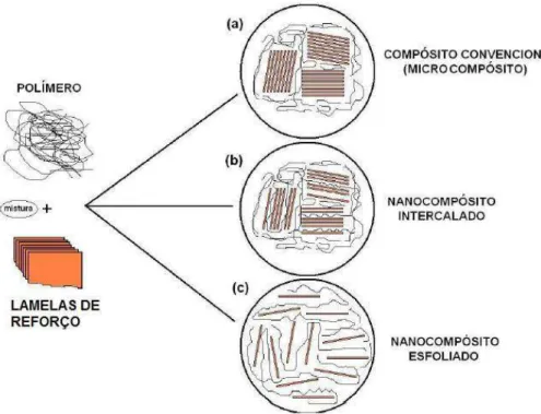 Figura 2.1  – Estruturas obtidas pela mistura polímero / reforço: a) microcompósitos; b)  nanocompósito intercalado; c) nanocompósitos esfoliado (MEDEIROS, 2010)
