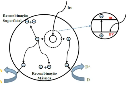 Figura 2: Mecanismo para a fotoativação de partícula semicondutora . 