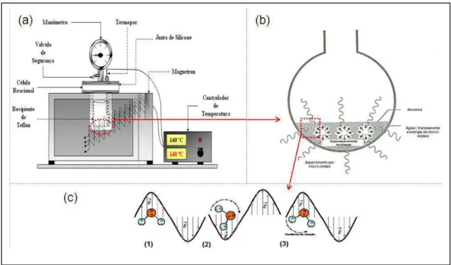 Figura 4: (a) Sistema hidrotérmico de micro-ondas, (b) Meio reacional aquecido por micro- micro-ondas, e (c) Acoplamento da água com as micro-ondas
