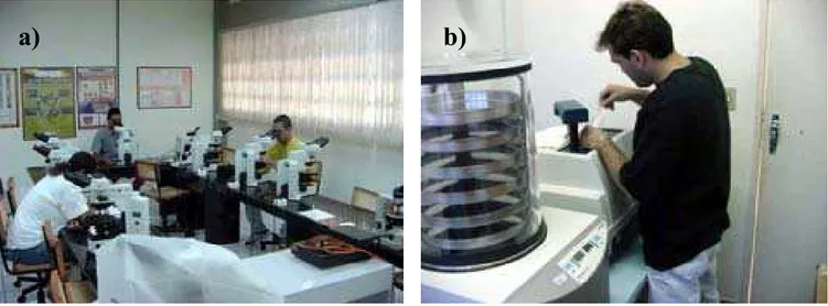 Figura 2.04  – a) Análise em microscópio petrográfico e b) análise granulométrica a laser.