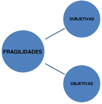Figura 4: Caracterização das Fragilidades 