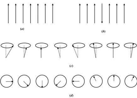 Figura 1.6: Figura cl´ assica do estado fundamental de um ferromagneto simples, mostrando os vetores dos spins alinhados; (b) um poss´ıvel estado excitado, com um s´o spin invertido; (c) vis˜ ao semicl´assica de uma onda de spin, com os spins vistos em per