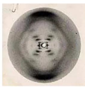 Figura 2.1: Imagem do raios-X do DNA.