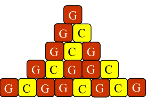 Figura 3.3: A sequˆencia quasi-peri´ odica de Fibonacci para as primeiras gera¸c˜oes, que crescem seguindo a regra de inﬂa¸c˜ao G → GC e C → G.