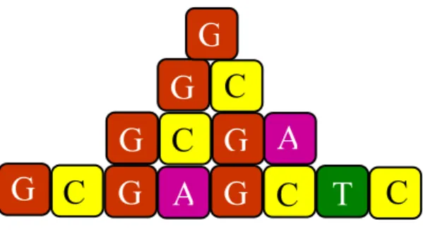 Figura 3.4: A sequˆencia quasi-peri´ odica de Rudin-Shapiro para as primeiras gera¸c˜oes, que cresce segundo a regra de inﬂa¸c˜ao G → GC, C → GA, A → T C e T → T A.
