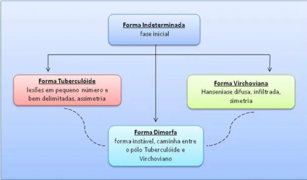 Figura 3 - Desenho esquemático das formas clínicas da hanseníase  Fonte: produzido pela autora, 2012 