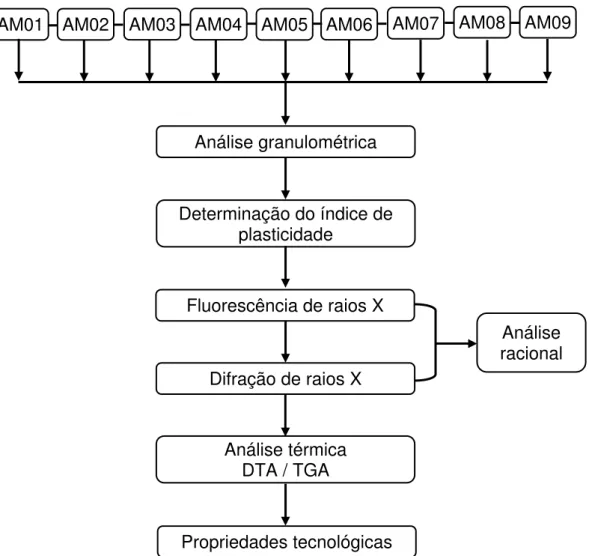 Figura 3.1: Esquema da metodologia usada na etapa de caracterização. AM01AM02AM03AM04AM05 AM06AM07AM08AM09
