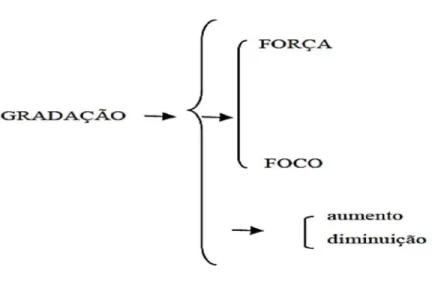 Figura 7: O Sistema de gradação 14