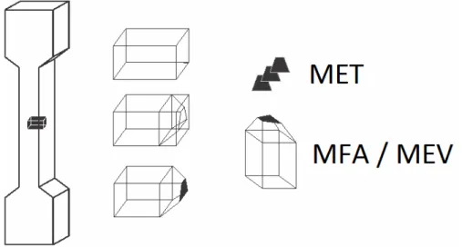 Figura 14 - Esquema de corte das amostras para cada técnica de microscopia. 