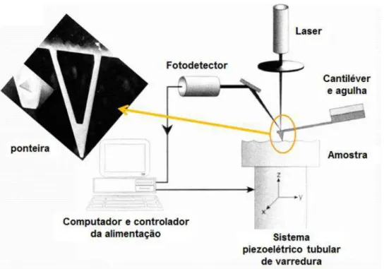 Figura 15 - Microscópio de Força Atomica (MFA) (Hermann, 1997). 