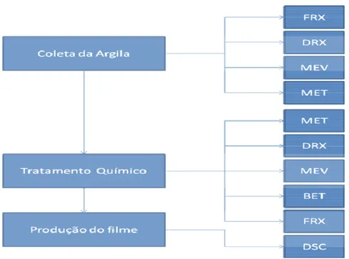 Figura 5 – Diagrama de blocos das atividades experimentais. 