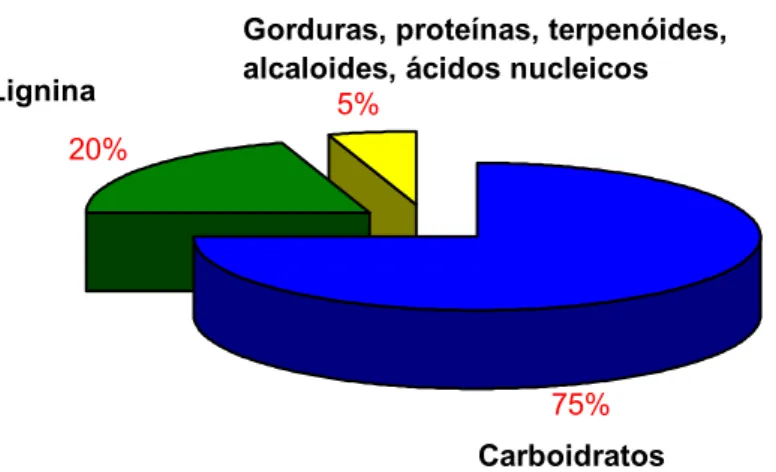 Figura 2: Produção mundial de carboidratos em relação à biomassa total  produzida. Fonte: Lichtenthaler (2004) 