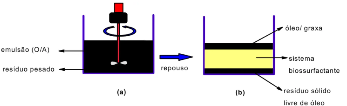 Figura 7: Tanque de estocagem de óleo pesado. (a) colocação da solução de  surfac