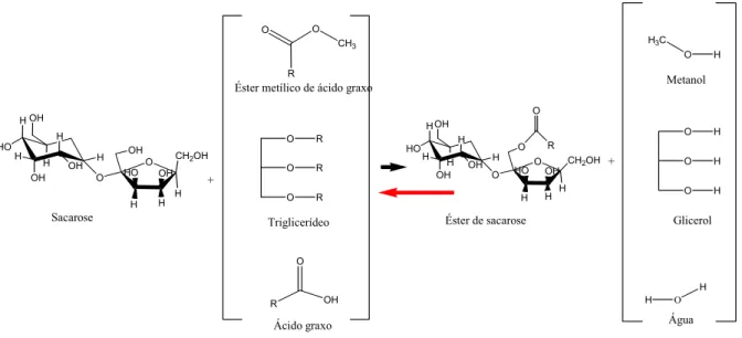 Figura 12 : Síntese de ésteres de açúcar com a formação de subprodutos competitivos com o açúcar.