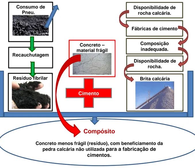 Figura 1-4– Representação esquemática da problemática e justificativa do trabalho. 