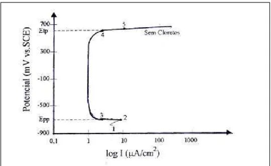 Figura 8 – Curva típica de polarização potenciodinâmica do aço em solução alcalina  (aço passivado) (BENTUR et al., 1997)