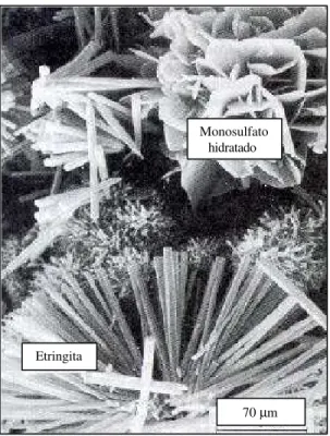 Figura 18  – Micrografia eletrônica de varredura de cristais hexagonais típicos de  monossulfato hidratado e cristais aciculares de etringita (MEHTA e MONTEIRO, 1994)