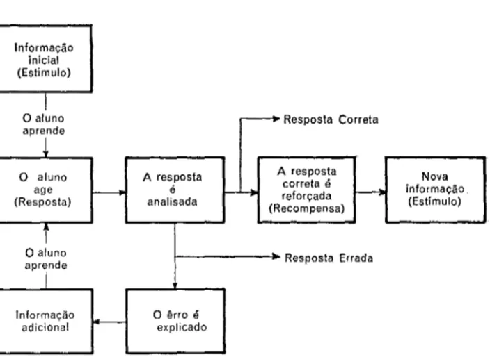 Figura  3  - PROGRAMA  RAMIFICADO 