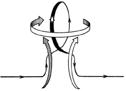 Figura 1.4: - Representação esquemática da torção das linhas de campo toroidal devido ao movimento turbulento helicoidal ascendente das bolhas de plasma