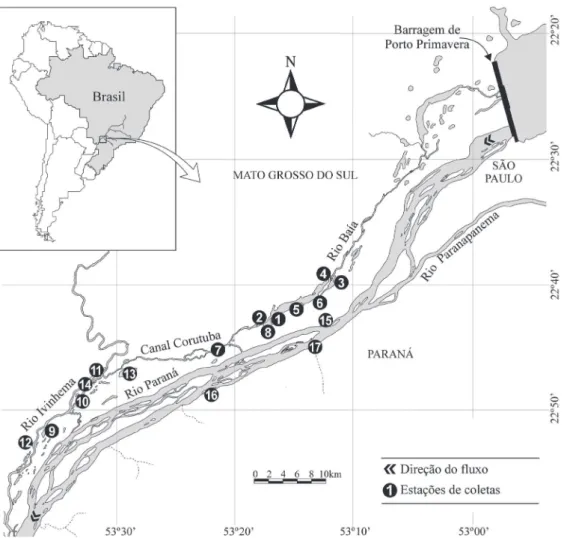 Fig. 1. Locais de amostragem de exemplares de Pseudoplatystoma corruscans (Spix &amp; Agassiz, 1829) e Prochilodus lineatus (Valenciennes,  1837) na planície de inundação do alto rio Paraná, coletados entre junho de 2010 e março de 2011: 1, Lagoa Fechada; 