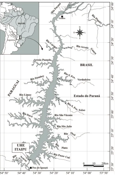 Fig. 1. Localização dos pontos de amostragem de Catathyridium jenynsii (Günther, 1862) no reservatório de Itaipu, rio Paraná, Brasil, de setem- setem-bro de 2001 a março de 2002 e de setemsetem-bro de 2002 a fevereiro de 2003