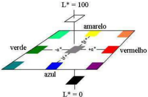 Figura 5. Representação da distribuição espacial da cor (Lopes, 2004).  Em uma análise colorimétrica, a medida de cor é realizada por ação de  uma  fonte  de  luz  e  um  iluminante  sobre  o  material  analisado,  onde  o  termo  fonte  de  luz  refere-se