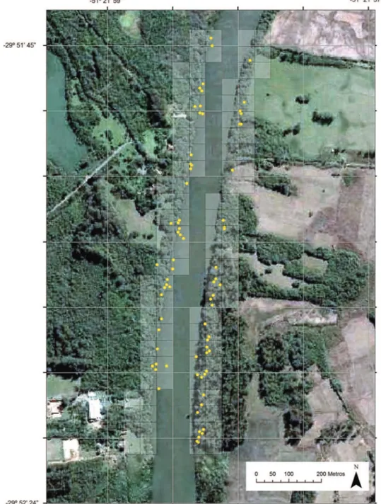 Fig. 1. Localização da área com o trecho do rio amostrado com as quadrículas de 50x50m e os pontos (em amarelo) com a localização dos ves- ves-tígios e abrigos utilizados por Lontra longicaudis no período de janeiro de 2006 a dezembro de 2007, no curso inf