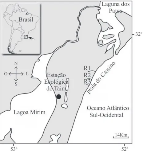 Fig. 1. Mapa	da	região	do	litoral	do	Estado	do	Rio	Grande	do	Sul	(Brasil)	com	a	localização	dos	três	riachos	estudados	(R1,	R2	e	R3).