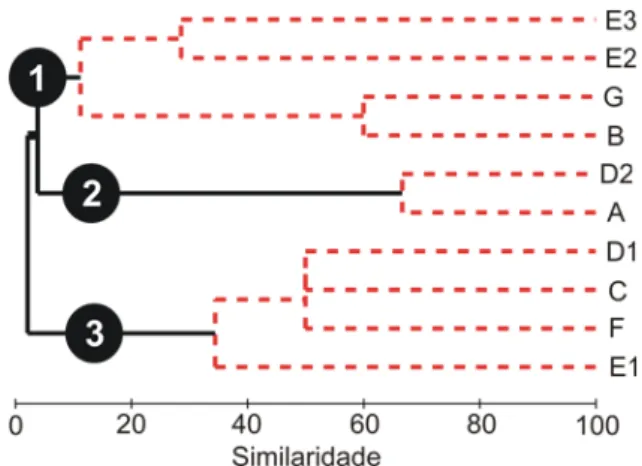 Fig. 3. Análise de agrupamento demonstrando a similaridade entre as  quatro poças amostradas em relação à composição das espécies