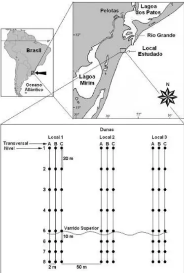 Fig. 1. Localização da área estudada e esquema do desenho amostral a  partir do qual foi coletada a macrofauna bentônica no período entre junho  de 2004 e maio de 2005, na praia do Cassino, Rio Grande do Sul, Brasil.