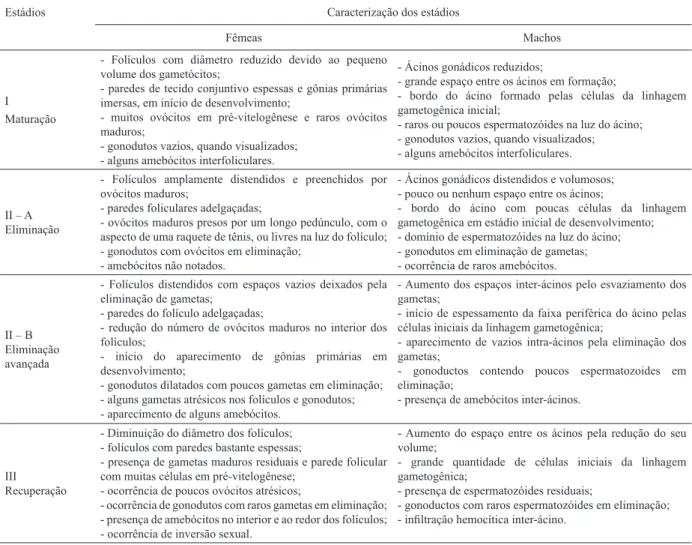 Tabela I. Estádios de desenvolvimento gonadal feminino e masculino de Iphigenia brasiliana (Lamarck, 1818) no estuário do rio Subaé, Baía de  Todos os Santos, Bahia.