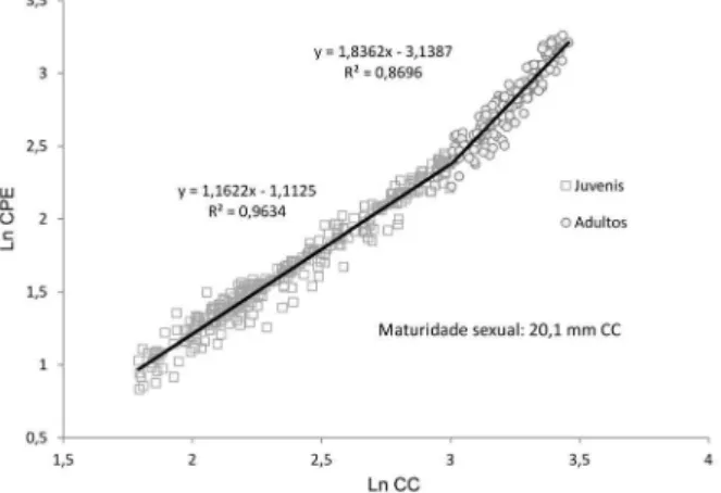 Tabela II. Comparação dos parâmetros das regressões lineares entre juvenis e adultos de Aegla  platensis Schmitt, 1942 (CPD, comprimento do própodo direito; CPE, comprimento do própodo esquerdo; LA, largura do abdome).