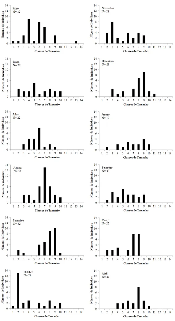 Fig. 2. Distribuição da frequência absoluta de fêmeas de  Aegla  manuinlata Bond-Buckup &amp; Santos, 2009 nas classes de comprimento do  cefalotórax: (1) 0 ˧2; (2) 2˧4; (3) 4˧6; (4) 6˧8; (5) 8˧10; (6) 10˧12; (7) 12˧14; (8) 14˧16; (9) 16˧18; (10) 18˧20; (1