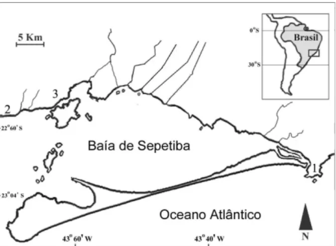 Figura 1. Área de estudo, Baía de Sepetiba, RJ, com indicação dos pontos de coleta: 1, Barra de Guaratiba; 2, Muriqui; 3, Itacuruçá.