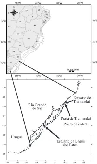 Fig. 1. Mapa do litoral do Rio Grande do Sul, indicando o estuário de Tramandaí, a Praia de Tramandaí e o estuário da Lagoa dos Patos.