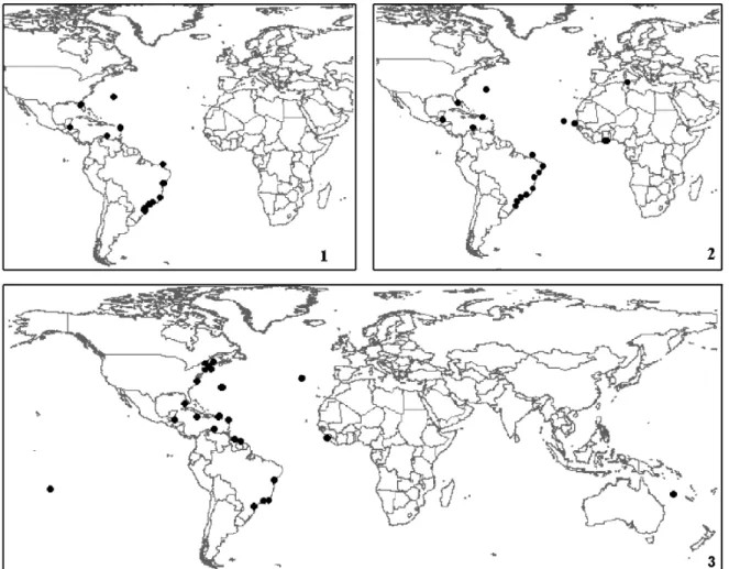 Figs 1-3. Distribuição geográfica de: 1, Trididemnum orbiculatum (Van Name, 1902); 2, Polysyncraton amethysteum (Van Name, 1902); 3, Perophora viridis (Verril, 1871).