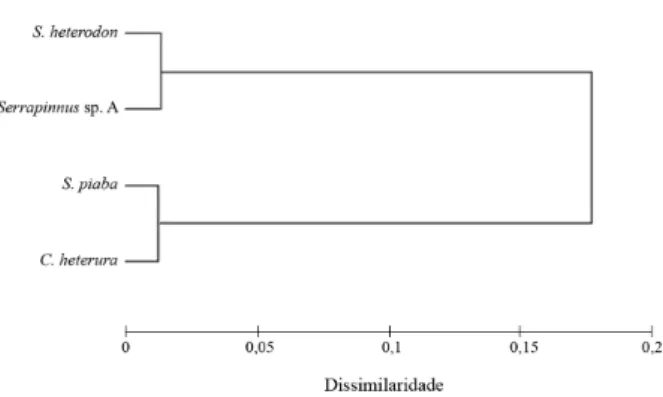 Figura 2. Dendrograma de dissimilaridade entre as espécies de Cheirodontinae, montado a partir dos valores do índice de importância alimentar dos itens consumidos, utilizando a distância euclidiana e o método de aglomeração de Ward.
