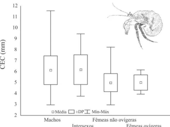 Figura 1. Média, desvio padrão (DP) e amplitude (Mínimo– Máximo) do comprimento do escudo cefalotorácico (CEC) das categorias demográficas de Clibanarius vittatus (Bosc, 1802) coletados no período de abril de 2005 a março de 2006 no Baixio Mirim, Baía de G